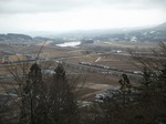DSCF2500.jpg