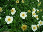 DSCF2509.jpg