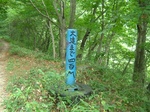 DSCF2584.jpg