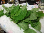 DSCF2586.jpg