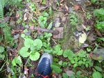 DSCF2587.jpg