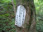 DSCF2588.jpg