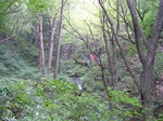 DSCF2595.jpg