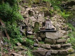 DSCF2602.jpg