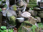 DSCF2604.jpg