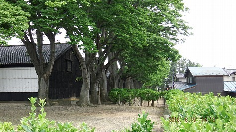DSCF2610.jpg