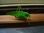 DSCF2678.jpg