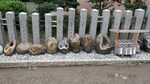 DSCF2692.jpg