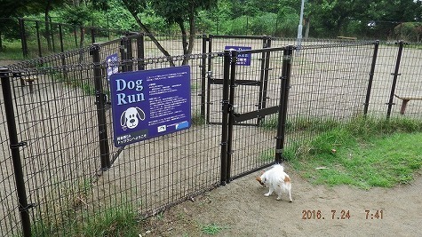 DSCF2697.jpg