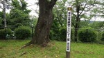DSCF2709.jpg