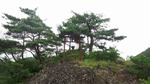 DSCF2719.jpg