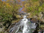 DSCF2724.jpg