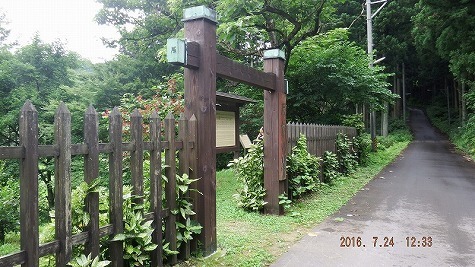 DSCF2733.jpg