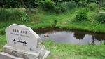 DSCF2768.jpg