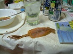 DSCF2797.jpg