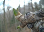 DSCF2822.jpg