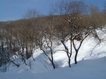 DSCF2840.jpg