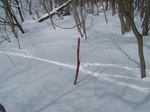 DSCF2841.jpg