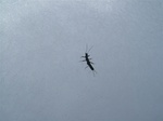 DSCF2843.jpg