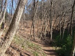 DSCF2870.jpg
