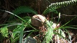 DSCF2921.jpg