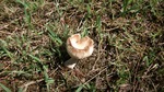 DSCF2923.jpg