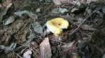 DSCF2928.jpg