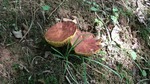 DSCF2930.jpg