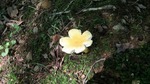 DSCF2932.jpg
