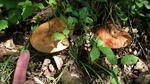 DSCF2933.jpg