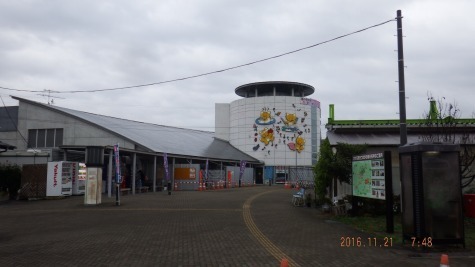 DSCF2990.jpg
