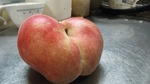 DSCF3023.jpg