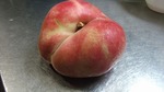 DSCF3024.jpg