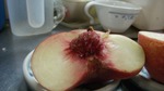 DSCF3028.jpg