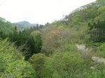 DSCF3034.jpg
