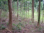 DSCF3037.jpg