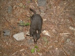 DSCF3057.jpg
