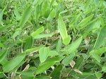 DSCF3059.jpg