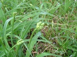 DSCF3088.jpg