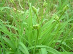 DSCF3090.jpg