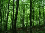 DSCF3096.jpg