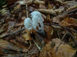 DSCF3099.jpg