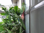 DSCF3149.jpg