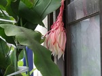 DSCF3150.jpg