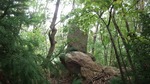 DSCF3173.jpg