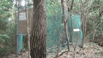 DSCF3177.jpg