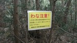 DSCF3178.jpg