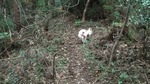DSCF3180.jpg