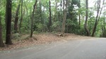 DSCF3181.jpg