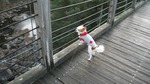 DSCF3196.jpg